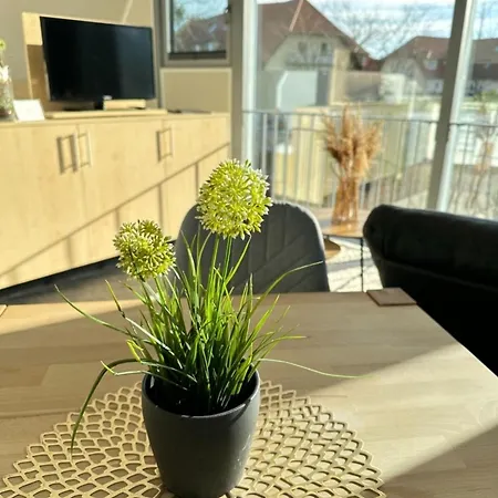 Duene 10 2og Grundbelegung 2 Pers * Elsterheide